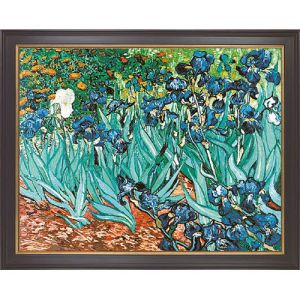 Πίνακας, Ίριδες, Van Gogh Museum, ms022