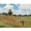 Οι Παπαρούνες - Claude Monet, Monet-2