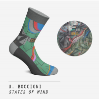 Κάλτσες States of Mind Great Art Socks, CS311996012