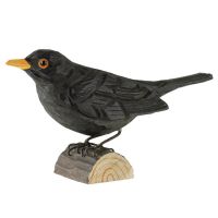 Blackbird, AWG411