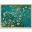 Πίνακας, Ανθισμένα Κλαδιά Αμυγδαλιάς, Van Gogh, ms-2019